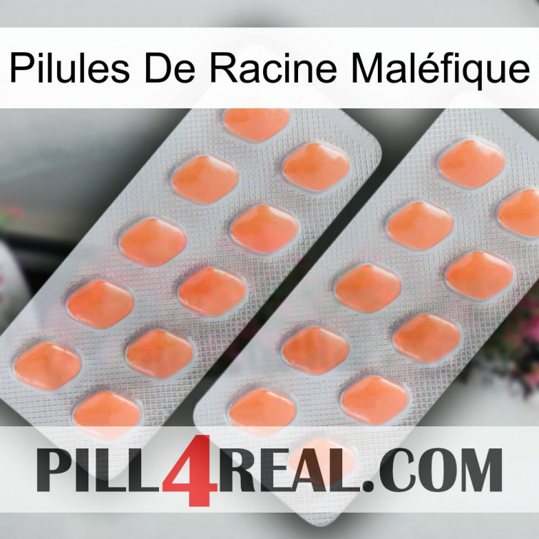 Pilules De Racine Maléfique 27